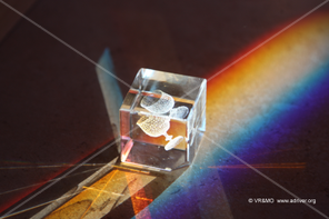Arte_digital 3