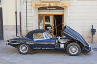 Auto 8