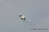 Avion Civil 15