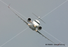 Avion Civil 16