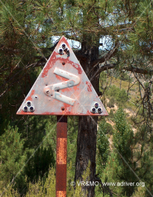 Placa 7